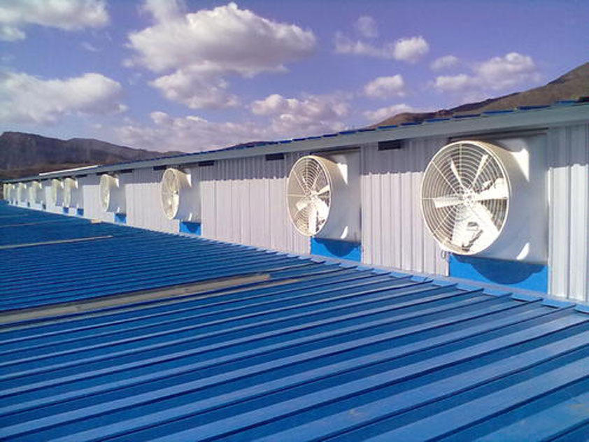 鐵皮廠房降溫這幾種解決方案你知道嗎？